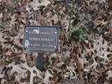 image of grave number 940274